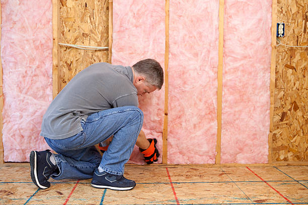 Best Insulation for Specific Applications in Alta, IA