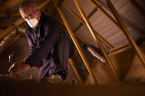 Best Insulation Installation Services in Alta, IA
